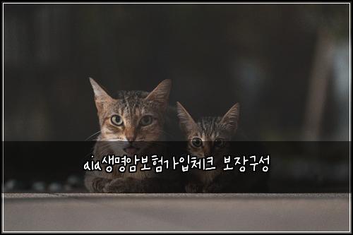 aia생명암보험가입체크 보장구성