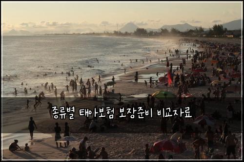 종류별 태아보험 보장준비  비교자료