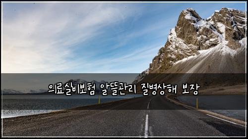 의료실비보험 알뜰관리  질병상해 보장