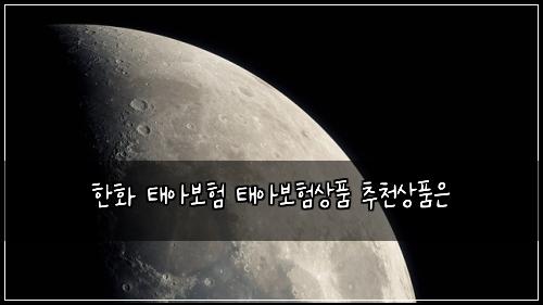 한화 태아보험 태아보험상품 추천상품은