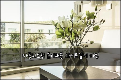 자동차보험 준비해용  와이프같이 가입