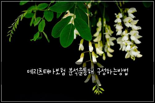 ๋ฉ๋ฆฌ์ธ ํ์๋ณดํ ๋ถ์์ํตํด ๊ตฌ์ฑํ๋๋ฐฉ๋ฒ