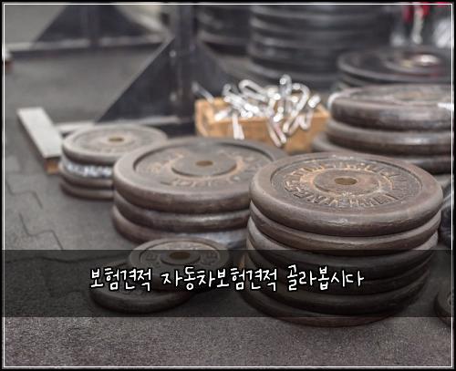 보험견적 자동차보험견적 골라봅시다