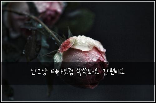 ๋๊ทธ๋ฅ ํ์๋ณดํ ์์๋ด์ ๊ฐํธ๋น๊ต