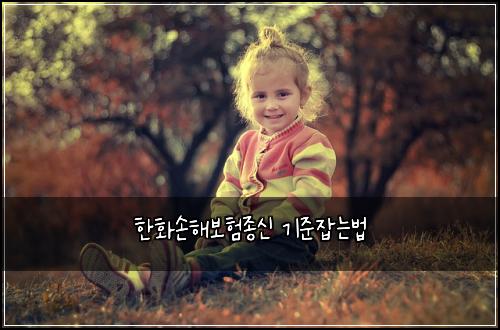 한화손해보험종신 기준잡는법