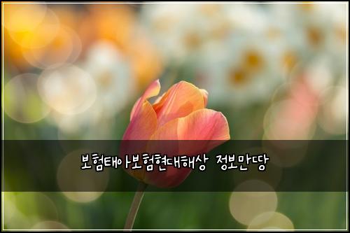 보험태아보험현대해상 정보만땅