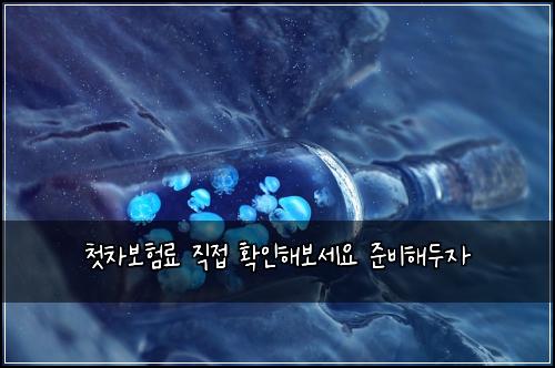 첫차보험료 직접 확인해보세요 준비해두자