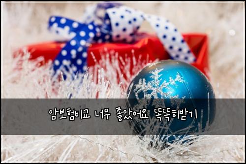 암보험비교 너무 좋았어요 똑똑히받기