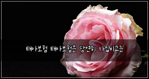 태아보험 태아보험은 당연히 가입비교는