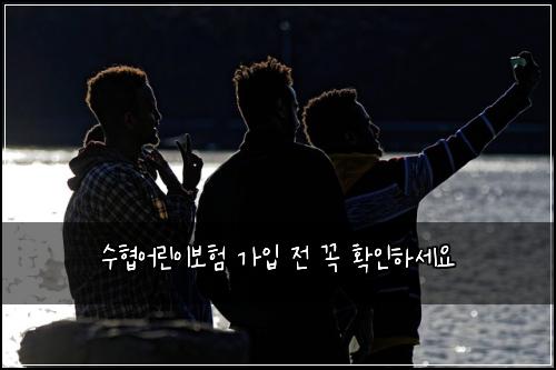 수협어린이보험 가입 전 꼭 확인하세요