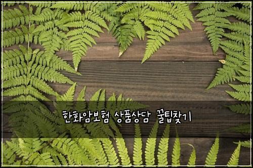 한화암보험 상품상담  꿀팁찾기