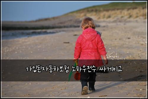 가입된자동차보험 노하우전수  싸게비교