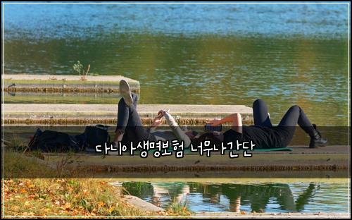 λ€λμμλͺ
보ν λ무λκ°λ¨