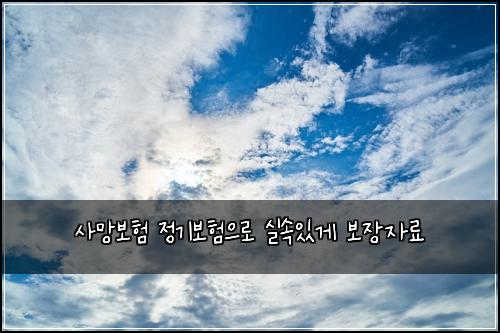 사망보험 정기보험으로 실속있게 보장자료