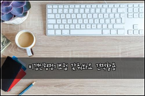 비갱신형정기보험 갖춰봐요  견적활용