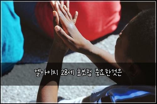 엘아이지 28세 효보험 중요한것은 