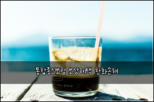 통합종신보험 보상혜택  한화손해