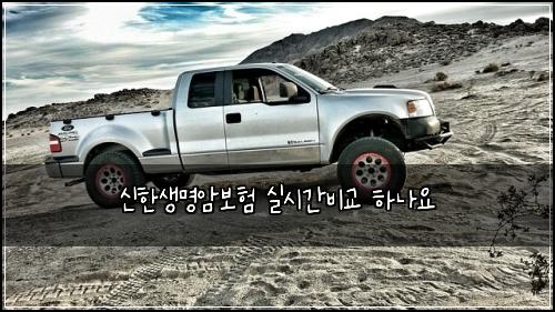 신한생명암보험 실시간비교  하나요