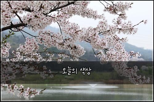 오늘의 색상