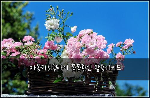 자동차보험아이 꼼꼼확인 활용가이드