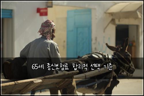 65세 종신보험료 합리적 선택 기준
