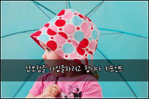 암보험을 가입을하려고 합니다 키포인트