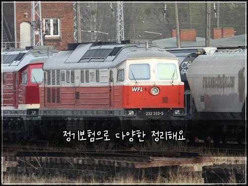 정기보험으로 다양한 정리해요
