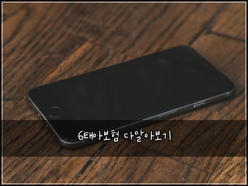 6태아보험 다알아보기 