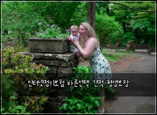 인터넷정기보험 바른선택  견적 평생보장