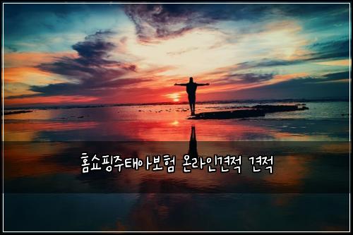 홈쇼핑주태아보험 온라인견적  견적