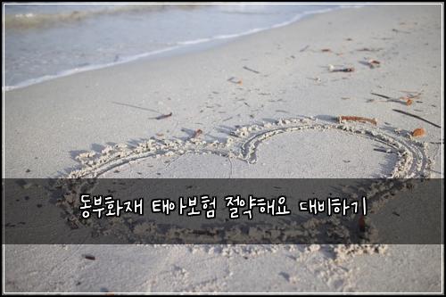 λλΆνμ¬ νμ보ν μ μ½ν΄μ λλΉνκΈ°