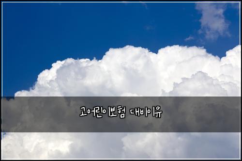 고어린이보험 대비이유 