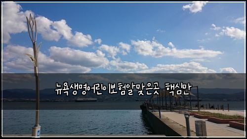 뉴욕생명어린이보험알맞은곳 핵심만