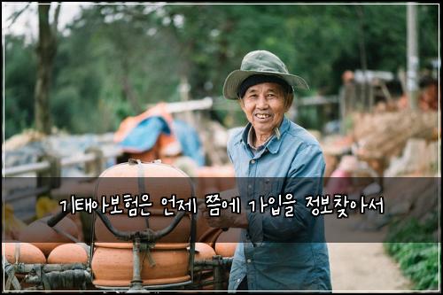 기태아보험은 언제 쯤에 가입을 정보찾아서
