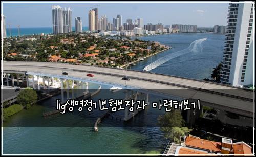 lig생명정기보험보장과 마련해보기