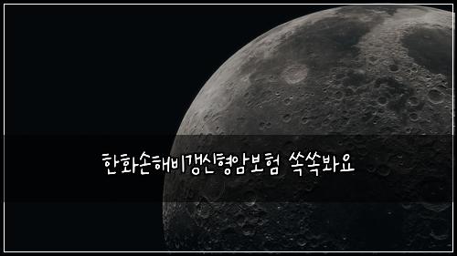한화손해비갱신형암보험 쏙쏙봐요 