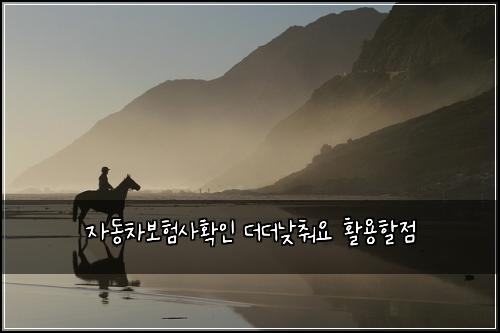 자동차보험사확인 더더낮춰요 활용할점