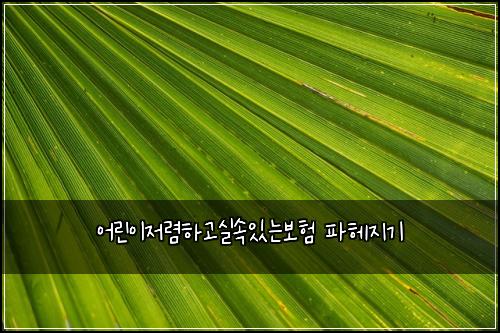 어린이저렴하고실속있는보험 파헤지기 