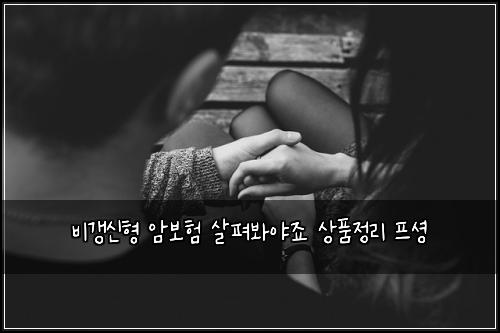 비갱신형 암보험 살펴봐야죠  상품정리 프셩