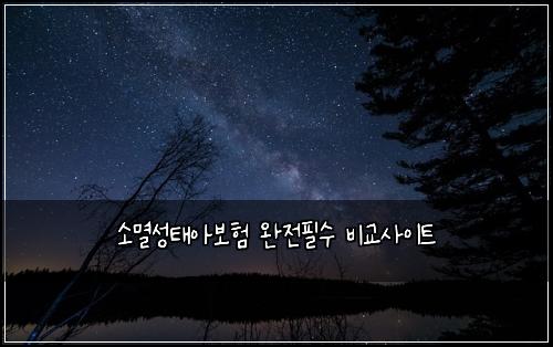 소멸성태아보험 완전필수  비교사이트