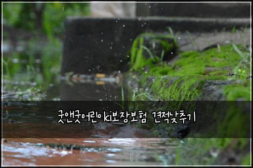 ๊ตฟ์ค๊ตฟ์ด๋ฆฐ์ดci๋ณด์ฅ๋ณดํ ๊ฒฌ์ ๋ฎ์ถ๊ธฐ
