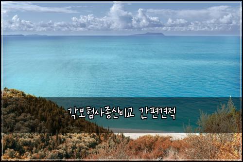 각보험사종신비교 간편견적