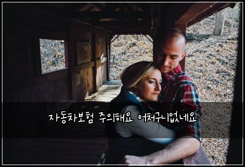 자동차보험 주의해요  어처구니없네요