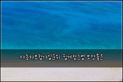 자동차보험가입순위 쉽게찾는법 보장좋은