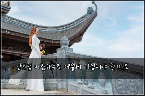 암보험 마련해두죠  어떻게 가입해야 할까요