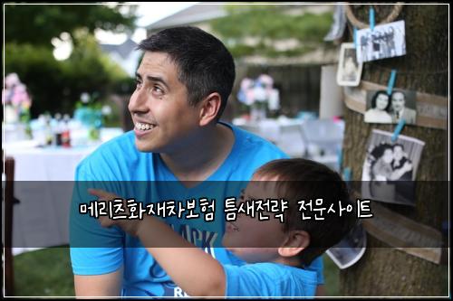 메리츠화재차보험 틈새전략  전문사이트