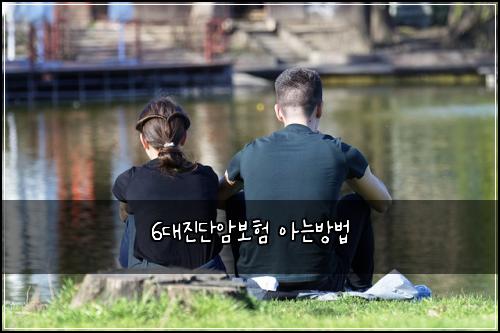 6๋์ง๋จ์๋ณดํ ์๋๋ฐฉ๋ฒ