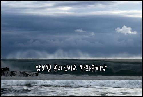 암보험 온라인비교  한화손해암