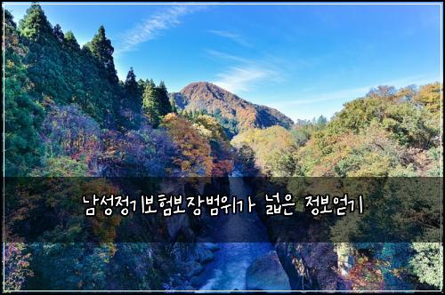 남성정기보험보장범위가 넓은 정보얻기