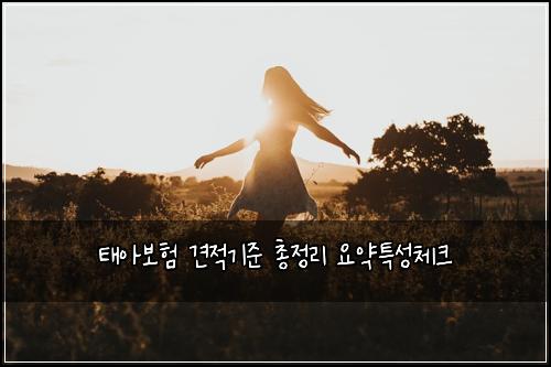 태아보험 견적기준  총정리 요약특성체크